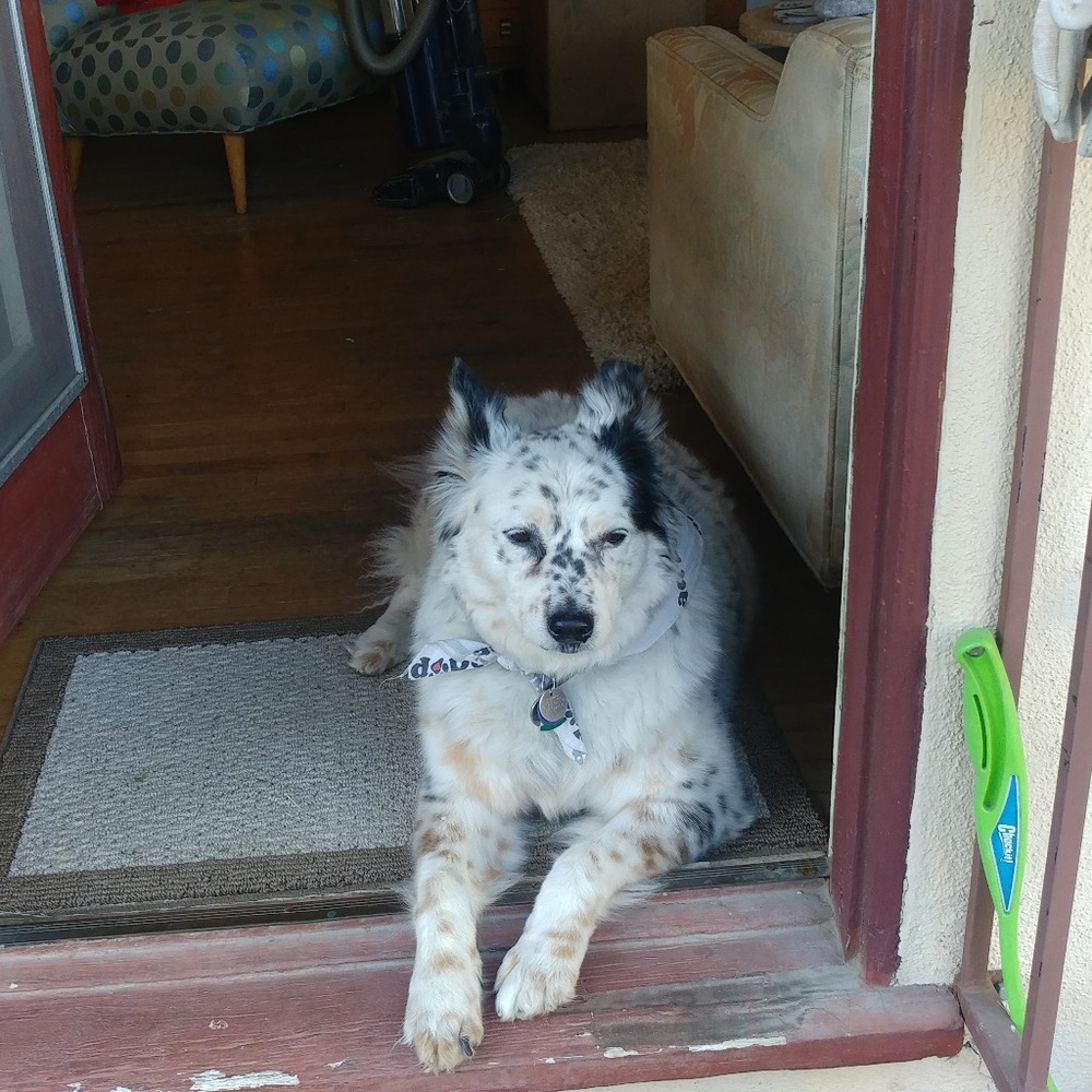 Meet your Posher, Joseph